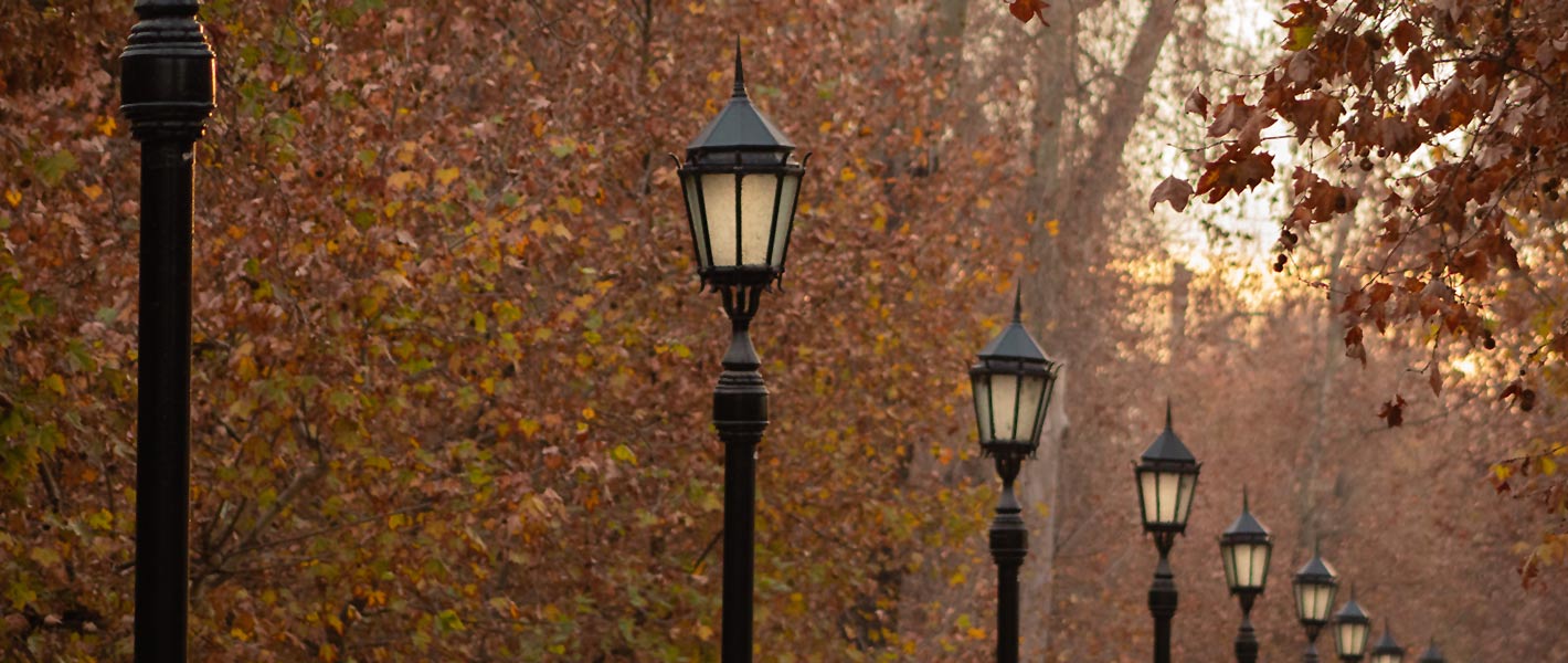 Lamp posts