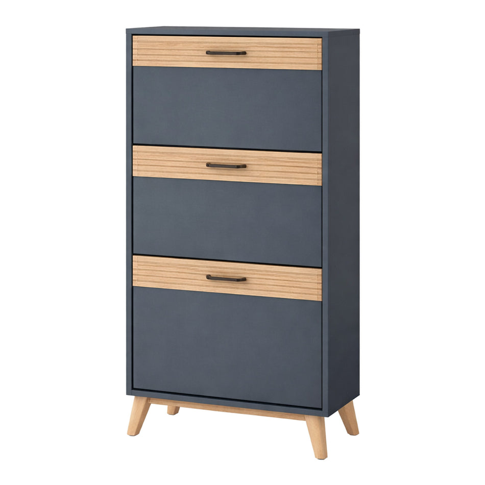 Shoe storage cabinet with panel detail