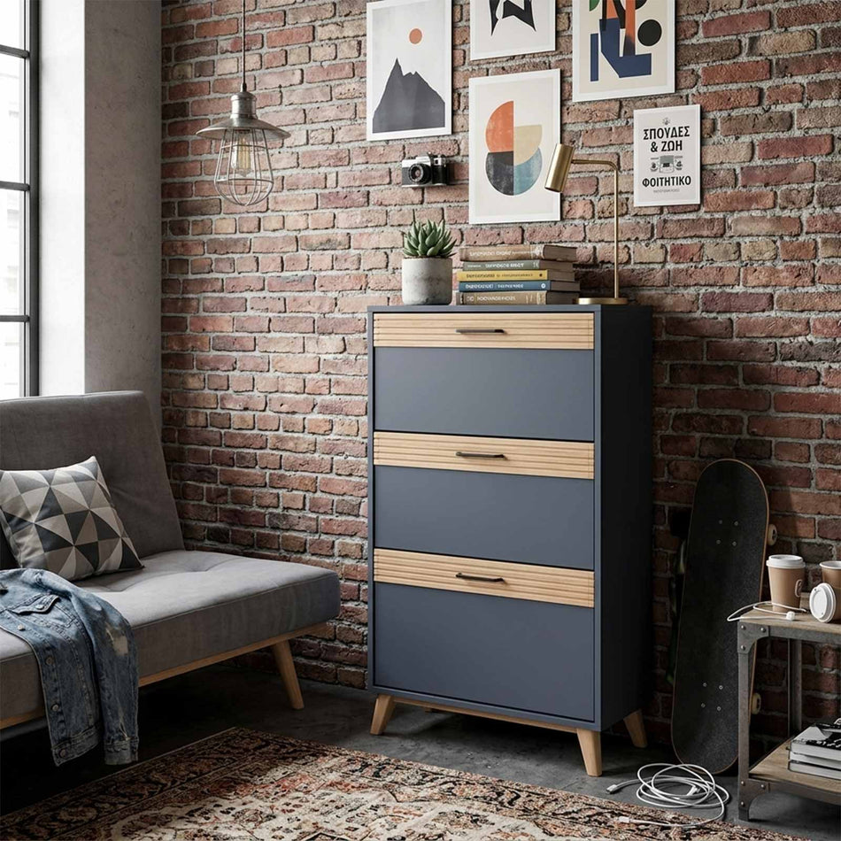 Shoe storage cabinet with panel detail
