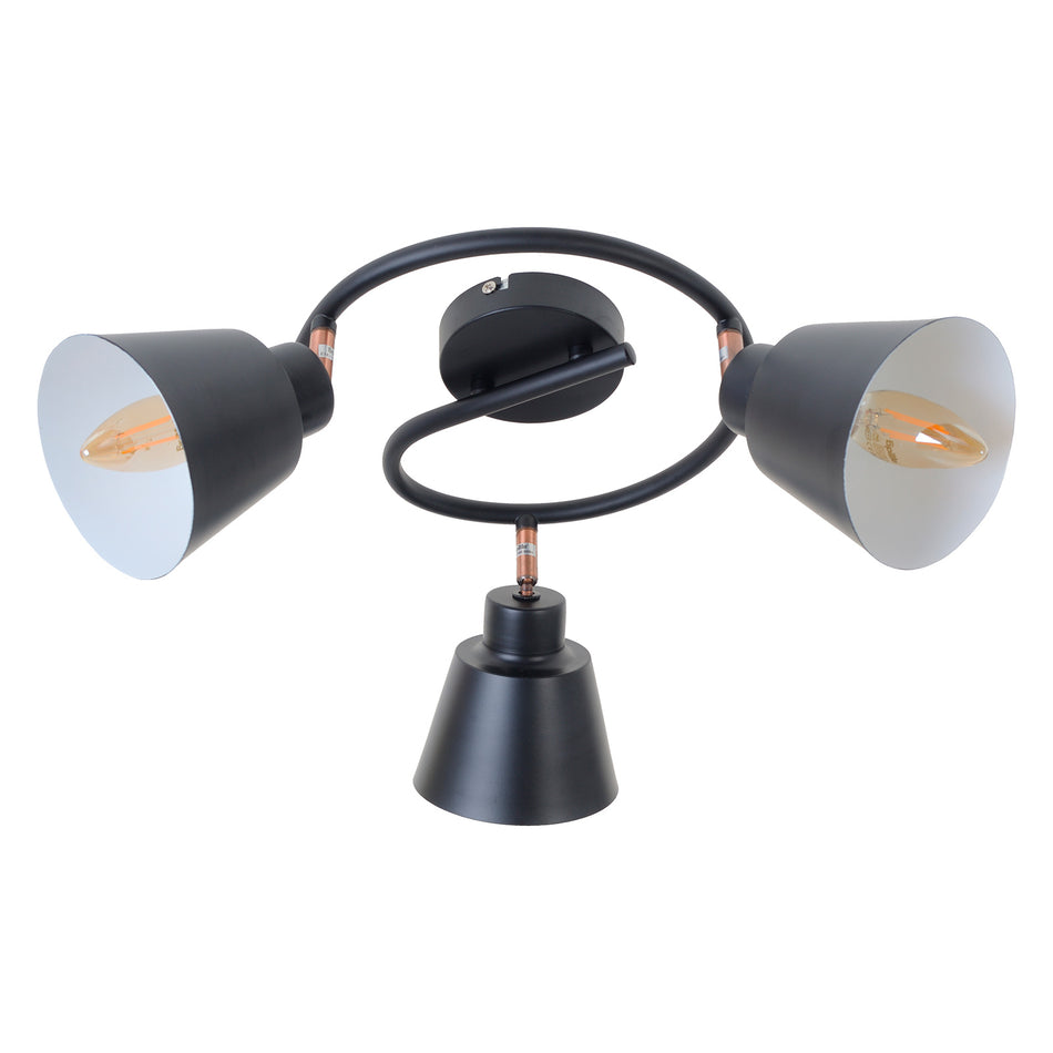 Helorus spot track lighting system, matt black