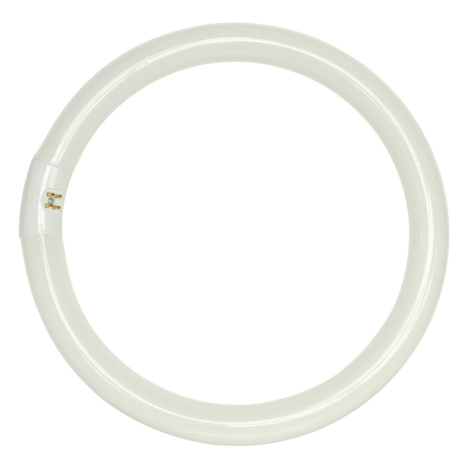 Dion fluorescent ring